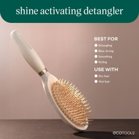 Shine Activating Detangler