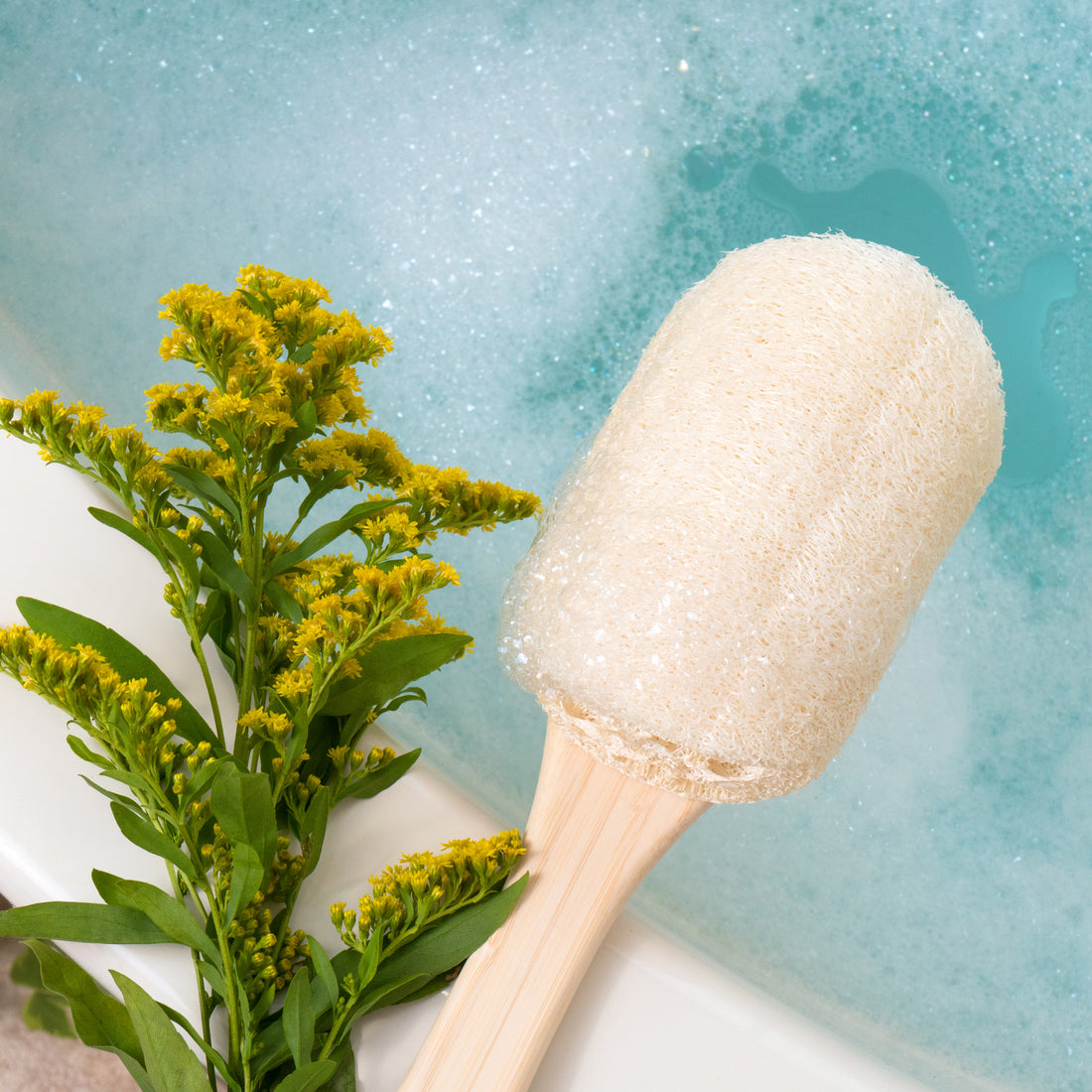 Loofah Bath Brush